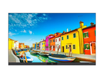 ProScene FHDC135 135" LED-display