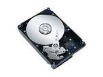 Hårddisk - 300 GB