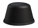 The Fez