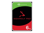 IronWolf Pro ST6000NT001